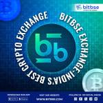 Bitbse Exchange Profile Picture