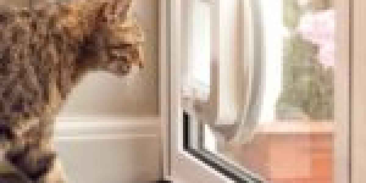 Is There A Place To Research Cat Door Fitting Service Online