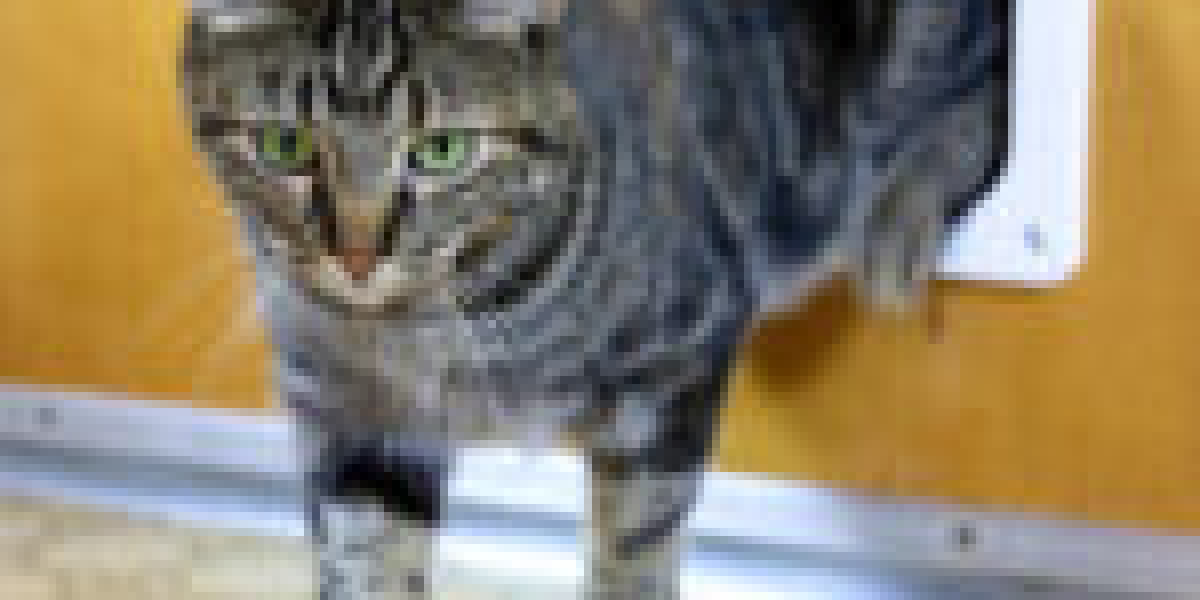 A Intermediate Guide On Cat Flap Installer Near Me
