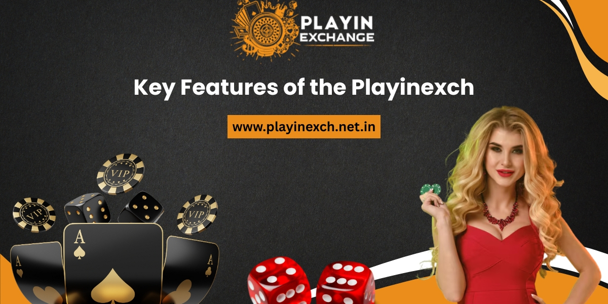 Top Features of Playinexch247 You Should Know