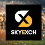 sky exchange profile picture