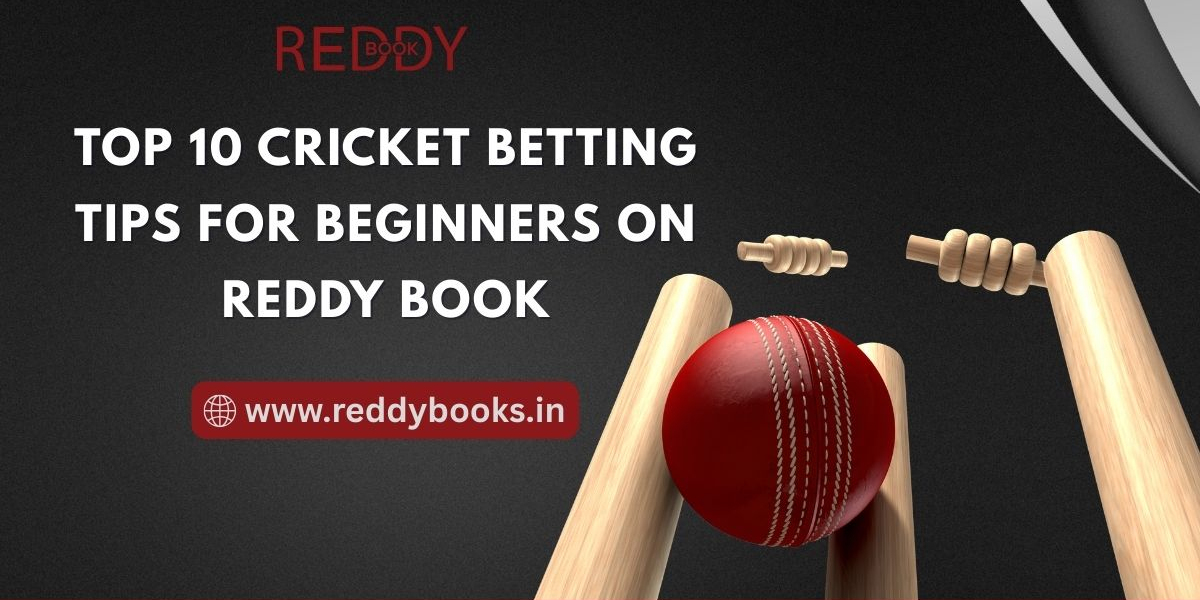 Top 10 Cricket Betting Tips for Beginners on Reddy Book