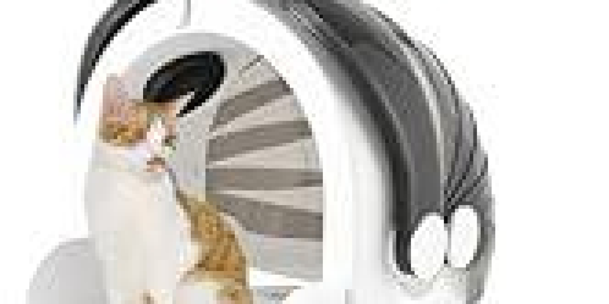Can Pawtechpet Transform Home Grooming with Pet Dryer?