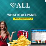 tahirdh156th167 Profile Picture