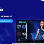 Winexch 504 Profile Picture