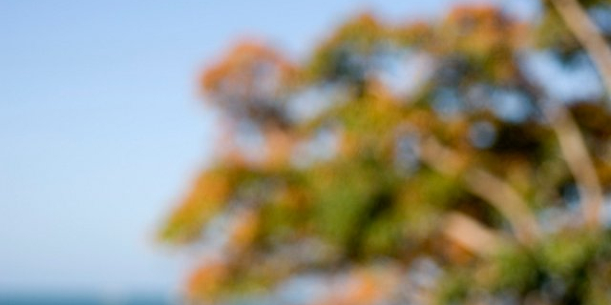Deca-Durabolin Nandrolone: The Ultimate Guide