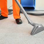 Libler77 Profile Picture