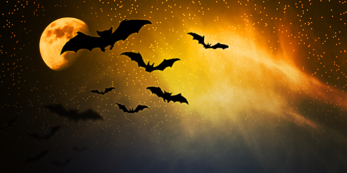 Understanding IRA Gold Accounts: A Comprehensive Examine