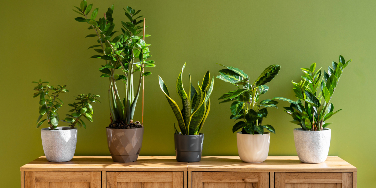 Best Interior Designer in Pune: Transforming Homes and Offices with Style & Functionality