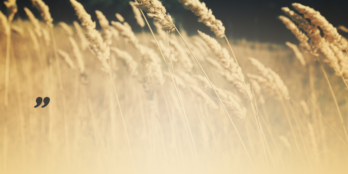 Revolutionizing Luxury Travel: The Gulfstream G650's Technological Advancements