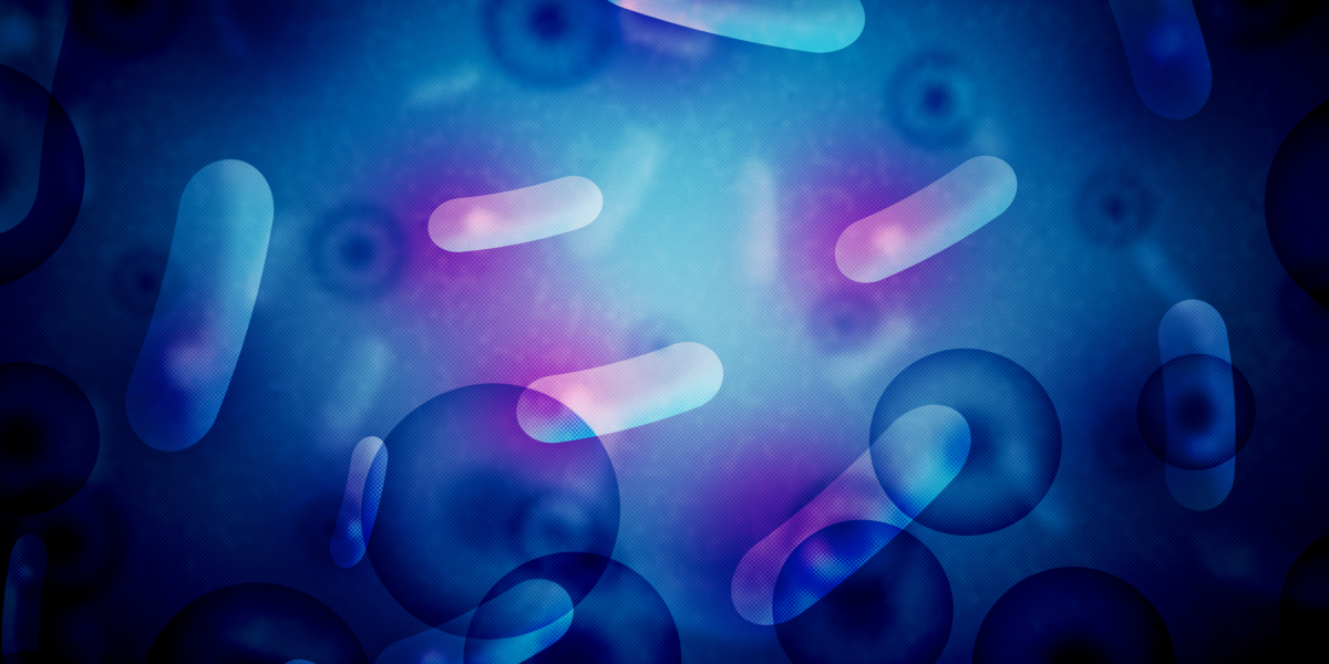 Understanding the Costs of Private Plane Flights