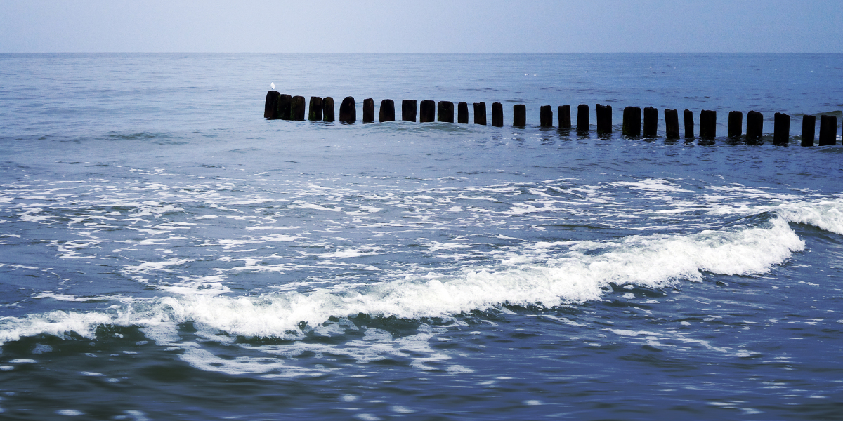 Modafinil: The Rising Trend of Smart Drugs in the US Market