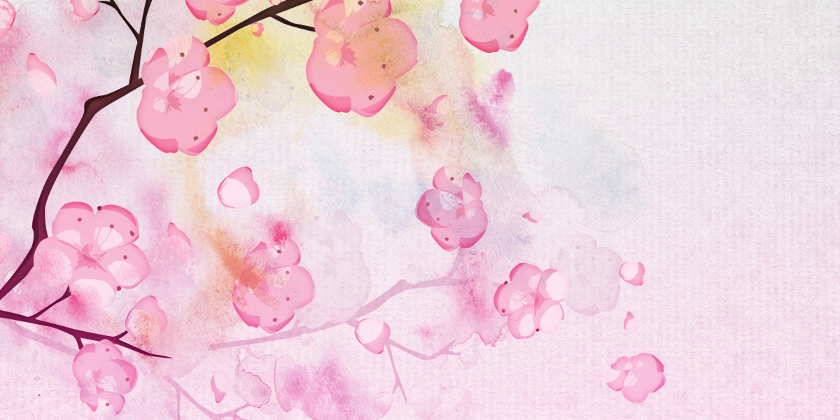 Sugar Daddy Websites in Canada: An Overview