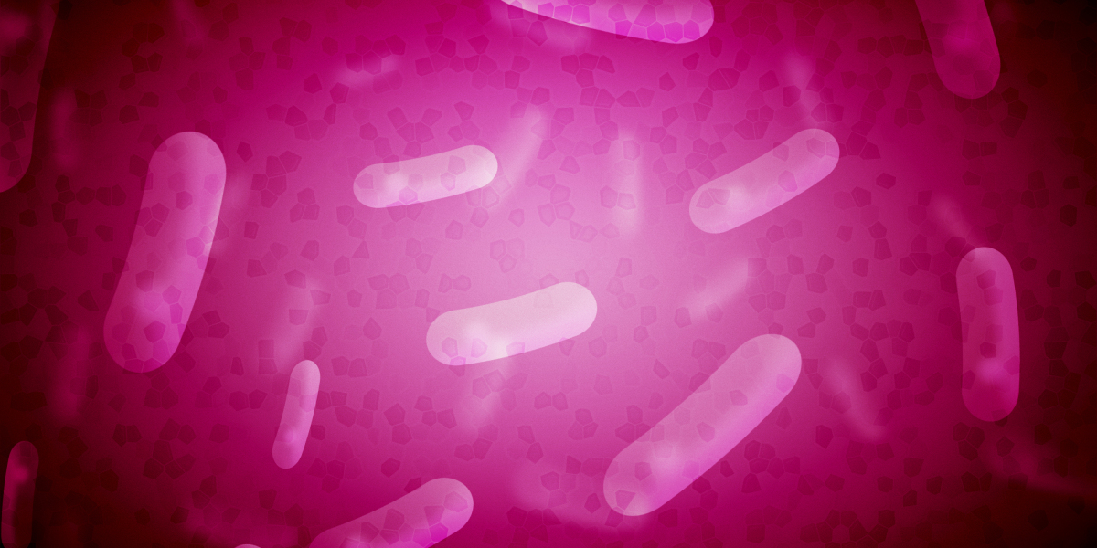 Understanding NetJets Flights: A Comprehensive Guide