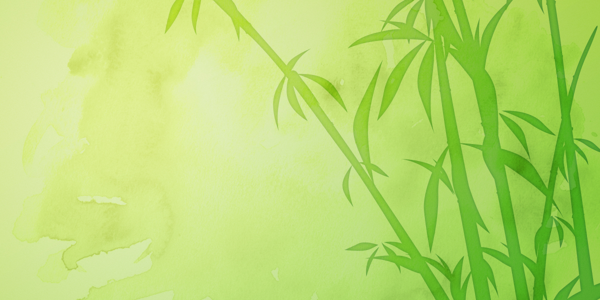 Exploring the Market for Private Jets: Prices, Models, and Trends