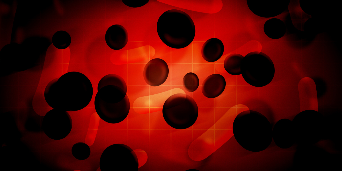 $50 Loan Instant No Credit Check: A Comprehensive Overview