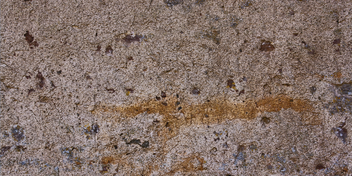 Exploring Private Loan Lenders: The No Credit Check Option