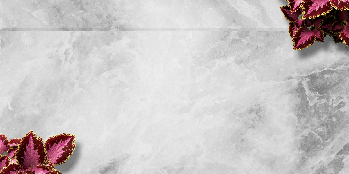 Revolutionizing Private Jet Charter International Travel: A New Era of Luxury and Efficiency