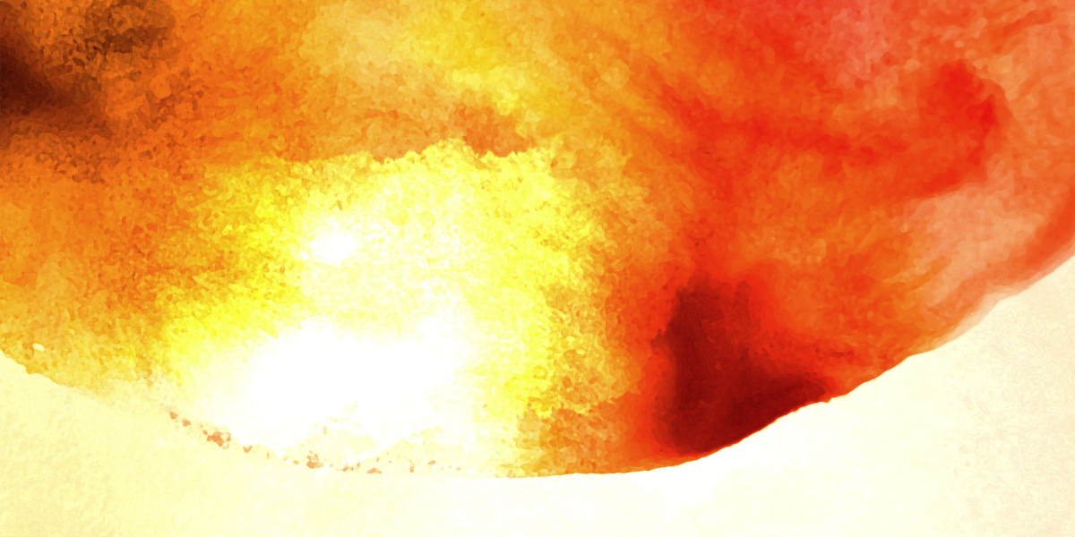 Understanding Online Loans Without a Credit Score