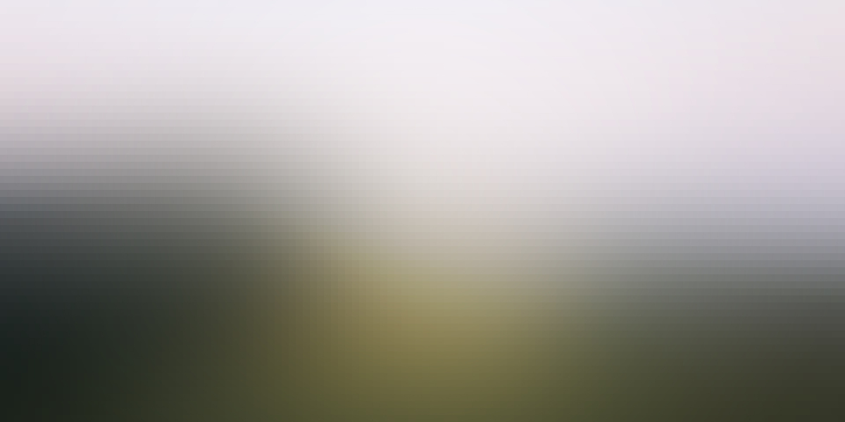 Best Gold IRA Companies in 2022: A Comprehensive Overview