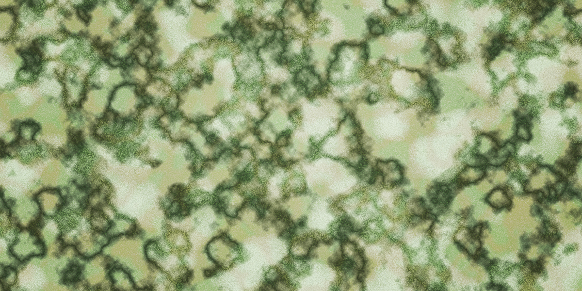 Personal Loans for Bad Credit: Direct Lenders Offer Hope for Financial Stability