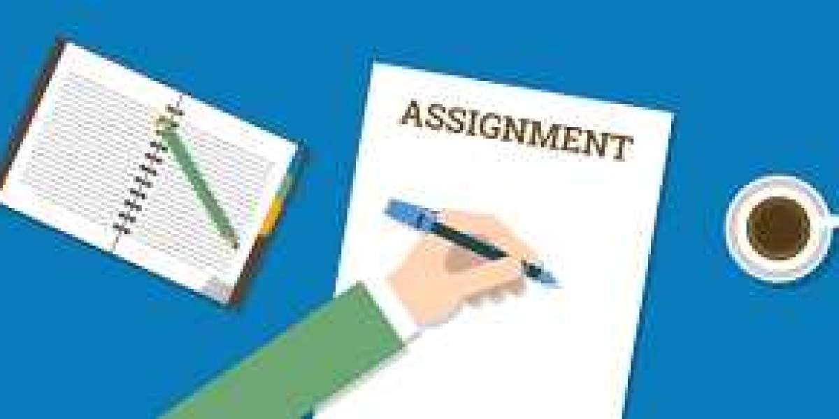 Assignment Help for Stress-Free Academic Success