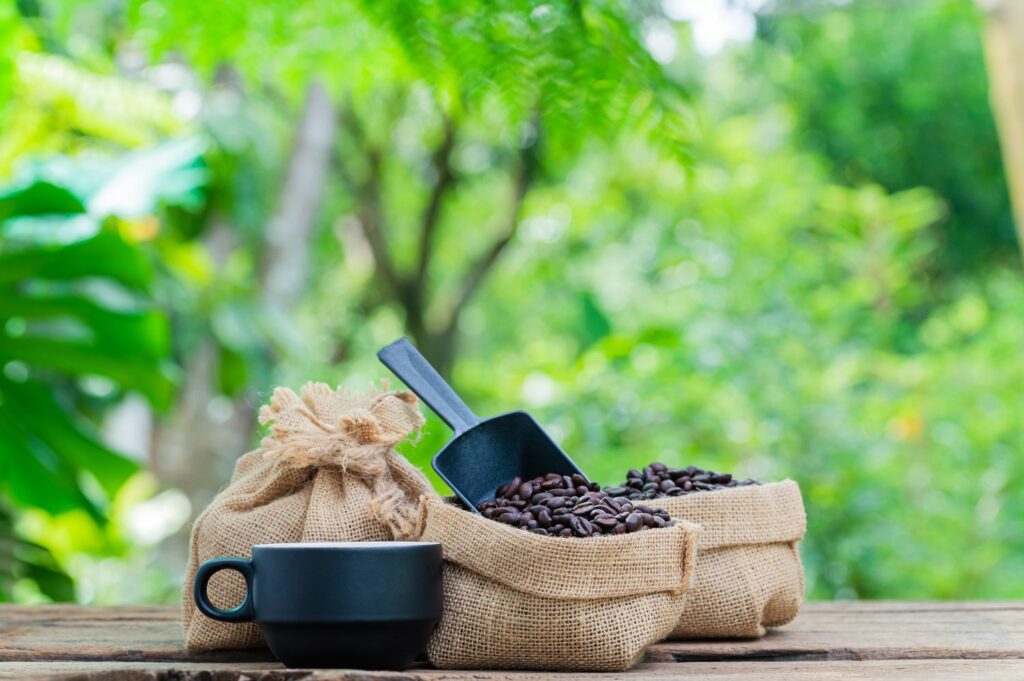 Fusy z kawy w ogrodzie - Budowlany Ninja