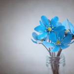 Priya Gaur profile picture