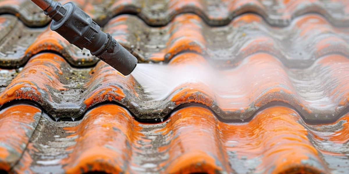 Roof Cleaning Near Me: What to Expect From a Professional Roof Maintenance Service