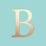 Balaeyon profile picture