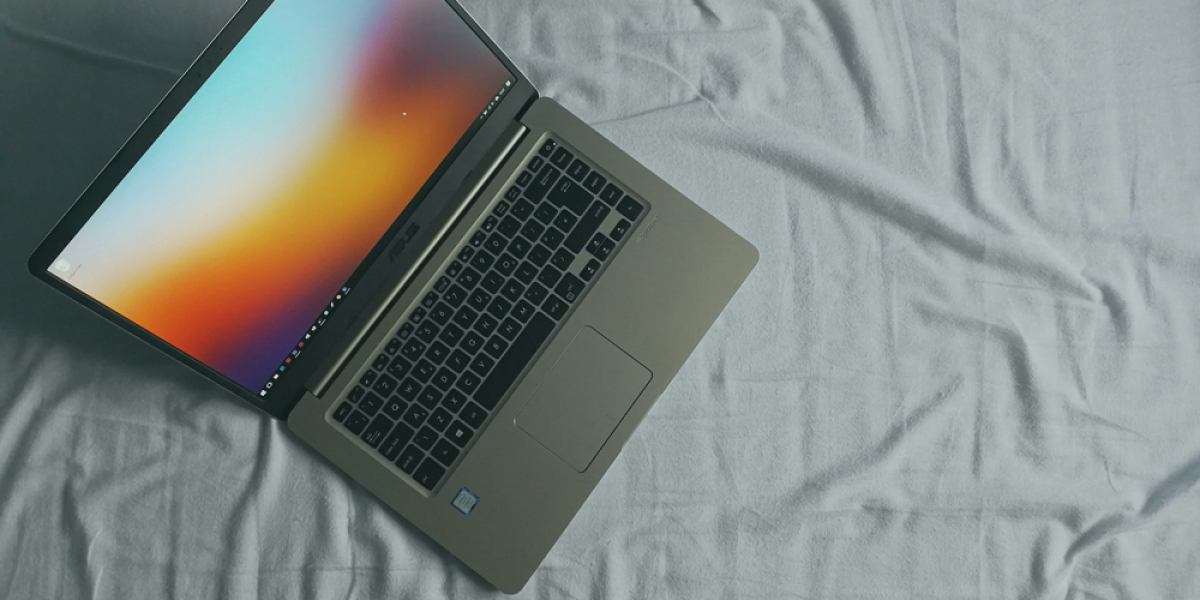 Zoysia Grass: Complete Lawn Care & Planting Guide