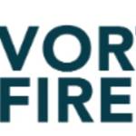 VortexFire profile picture