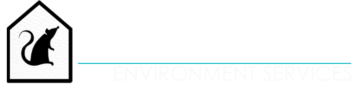 Ant Control Services in Greater Manchester | Master Pest Tech