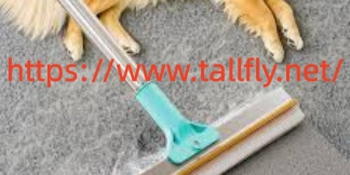 Tallfly Pet Hair Scraper Supplier choices shaped by procurement habits