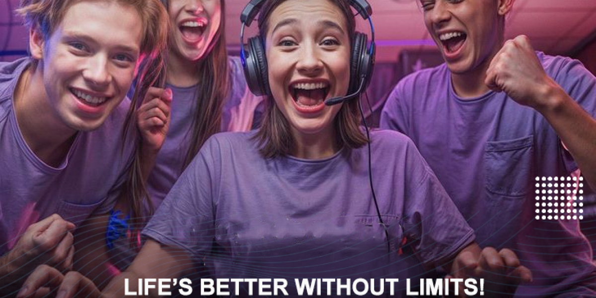 A Beginner's Guide to Unlimited Wireless Internet and High Speed Internet Connections