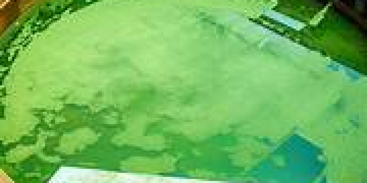 Algae Treatment Chemical Market Share, Size, and Competitive Landscape
