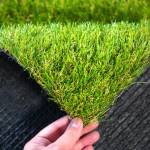 Daniel Kerr profile picture