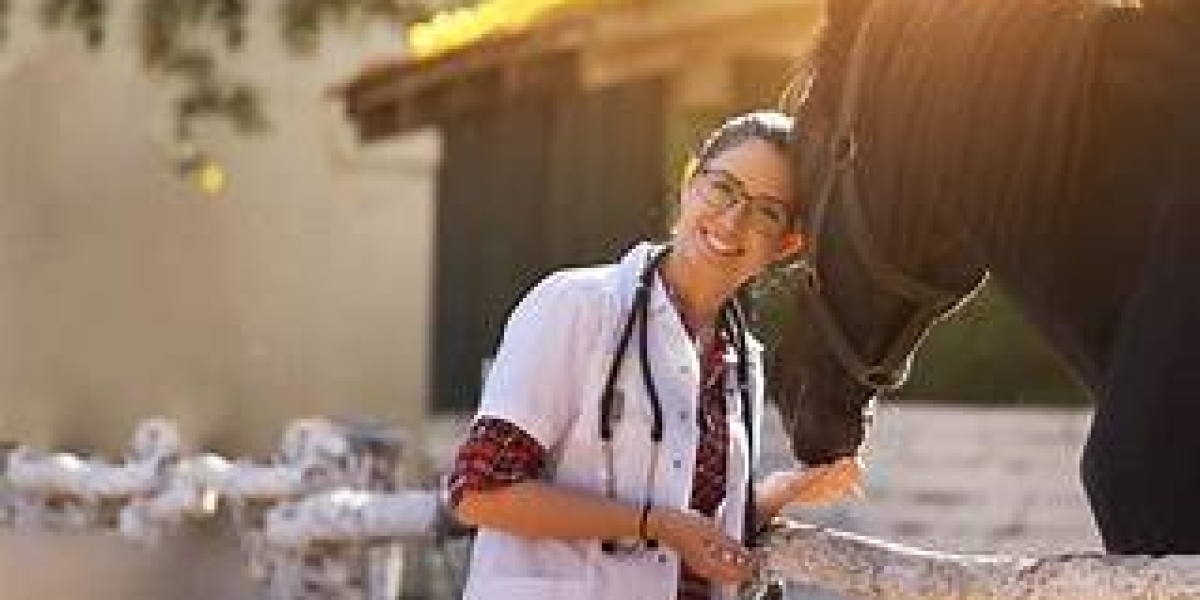 United Kingdom Equine Healthcare Market Growth, Size, Share, and Forecast
