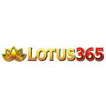 Lotus365 Cricket profile picture