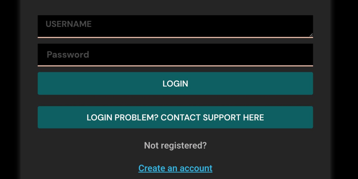 Understanding Online Account IDs: Building Digital Awareness and Safe Internet Habits