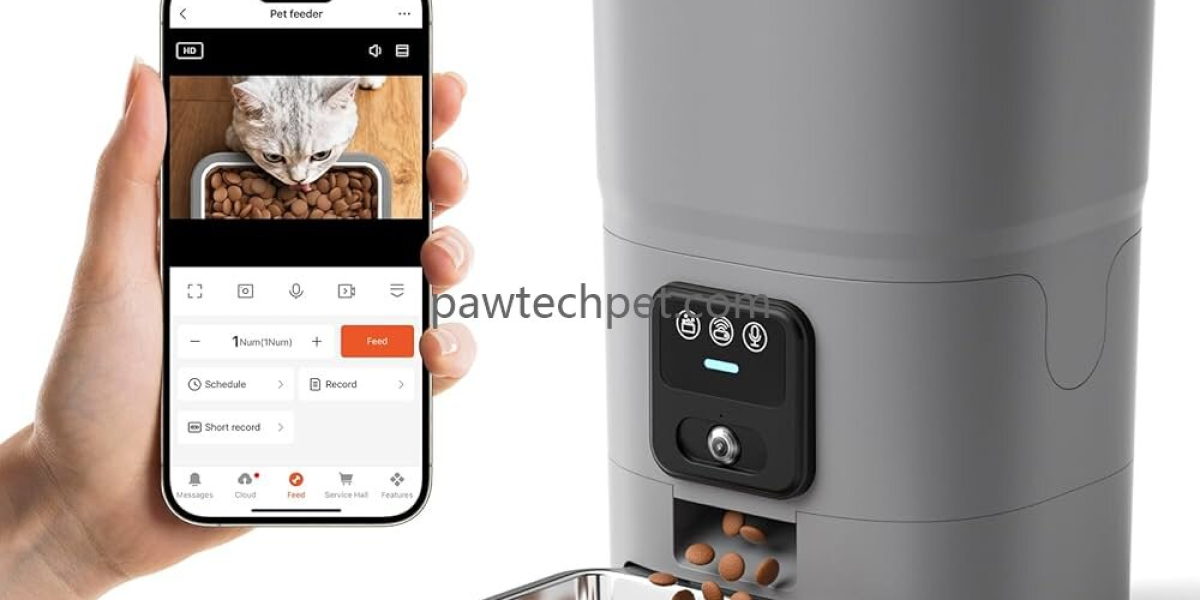Modern Pet Care with Intelligent Drying Technology